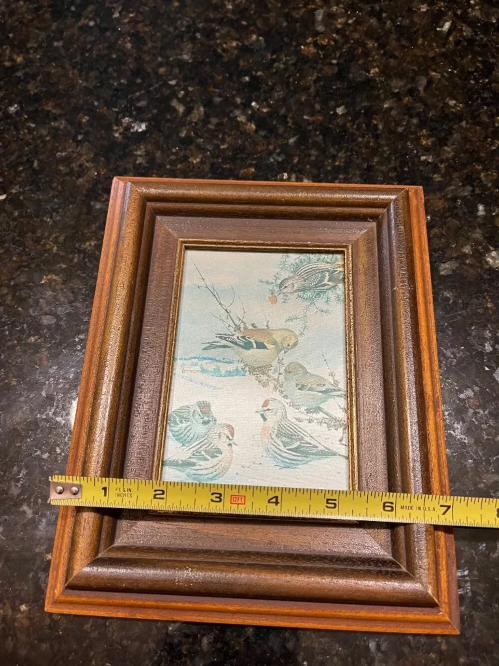 Wood Framed Iridescent Bird Winter Picture A971
